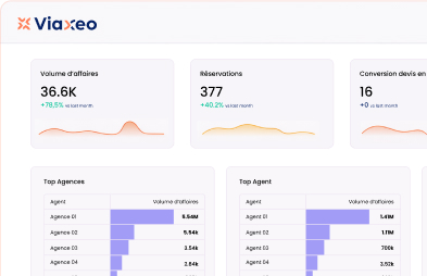 Interface Viaxeo Analytics