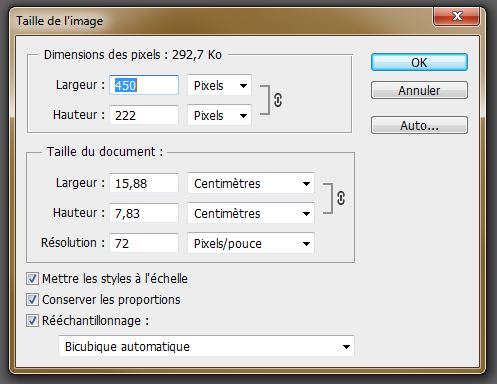 Birt 4.2 et la gestion des images