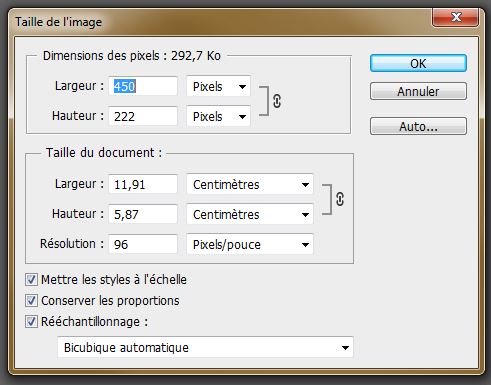 birt 4.2 96dpi étape 2