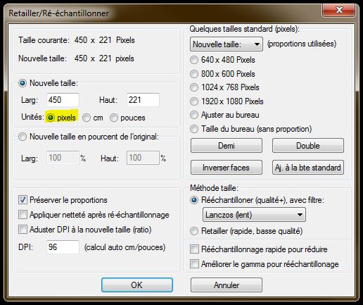 birt 4.2 IrfanView 96dpi étape 2