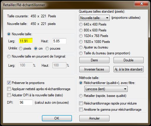 birt 4.2 IrfanView 96dpi étape 3
