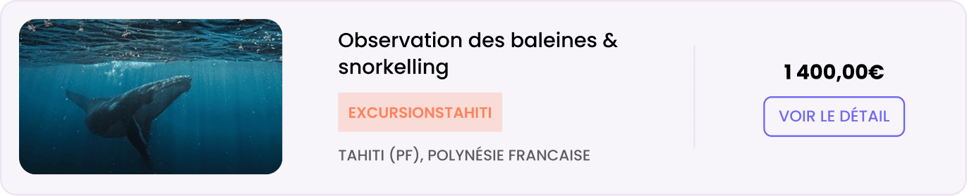 Observation des baleines